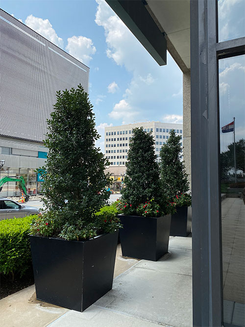 Looking out a office window